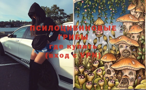 стафф Балахна