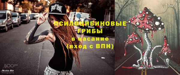 гидропоника Балабаново