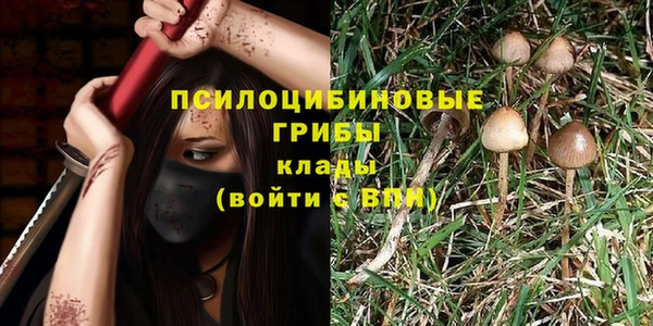 гидропоника Балабаново