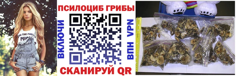 Галлюциногенные грибы MAGIC MUSHROOMS  цена   Верещагино 